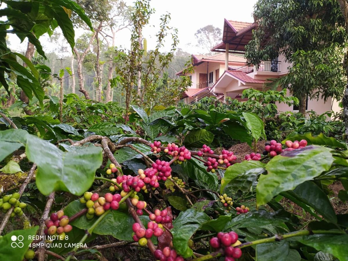 Wanders In Travel Company Otel Madikeri Dış mekan fotoğraf