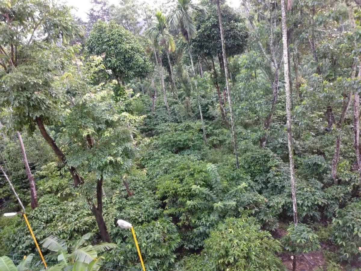 Wanders In Travel Company Otel Madikeri Dış mekan fotoğraf