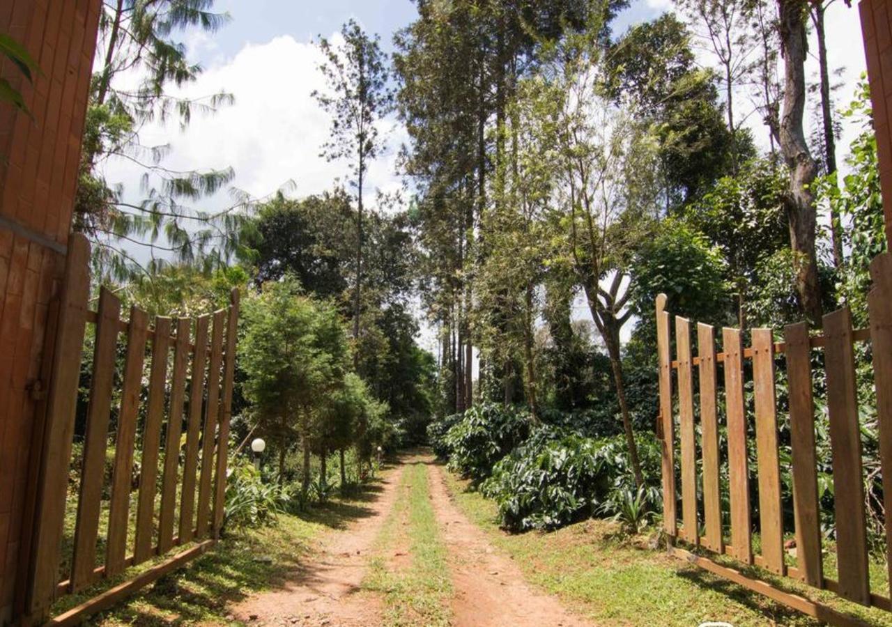 Wanders In Travel Company Otel Madikeri Dış mekan fotoğraf